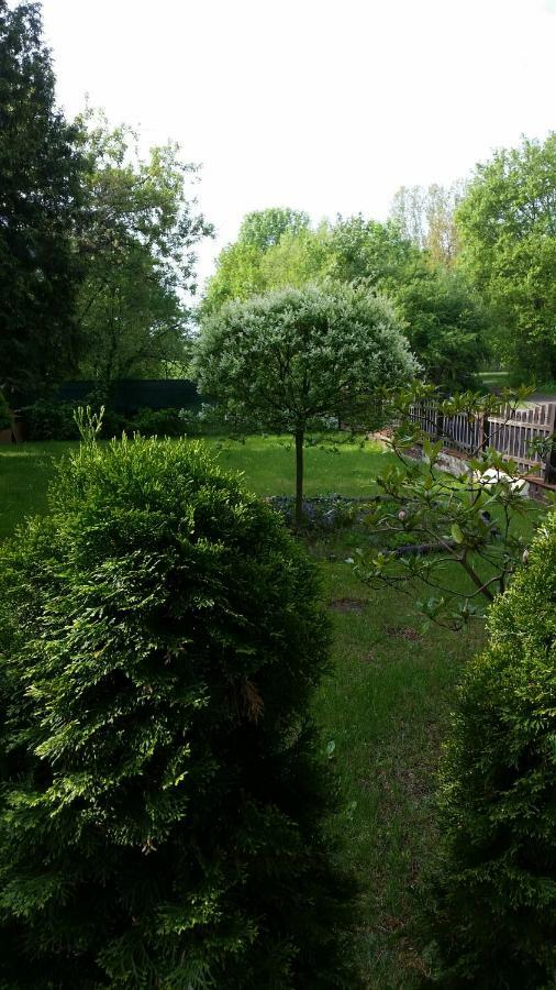 Scholz & Scholz Gbr Zimmervermietung Hoyerswerda Dış mekan fotoğraf